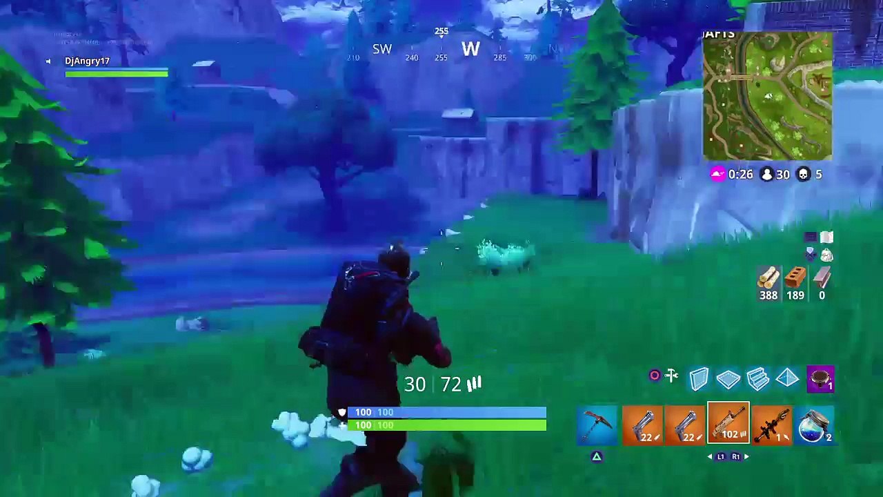 Fortnight GETTING A WIN (13)