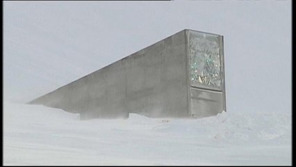 Le arche di Noè per salvare sementi e dati