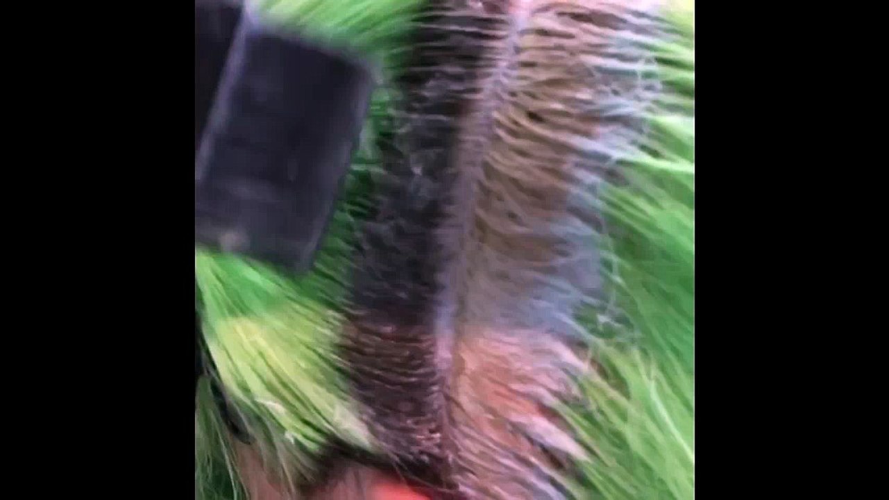 colore and cutting hair,hair style for 2018