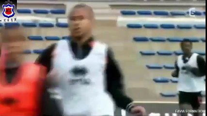 FAVIA - L'INTELLIGENCE COLLECTIVE