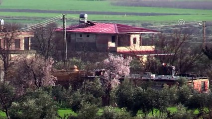 Zeytin Dalı Harekatı - Askeri araçların Hassa'dan geçişi - HATAY