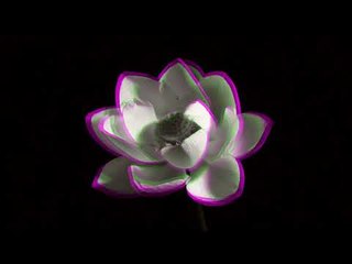 Logistics - Lotus Flower (Official Music Video)