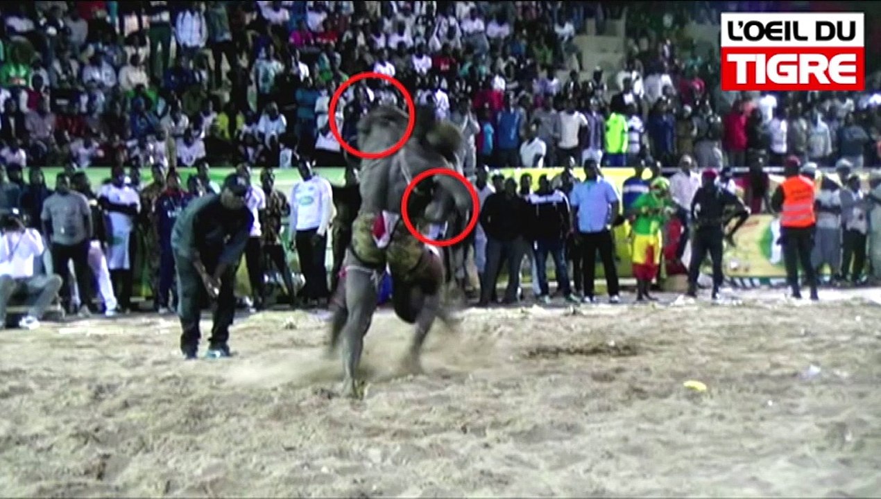 RUBRIQUE JELL BI du 27 Février 2018 avec BAYE DIAGA & DAME SENE dans L' Oeil Du Tigre