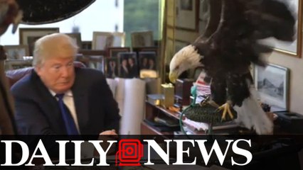 These are the things that frighten President Trump