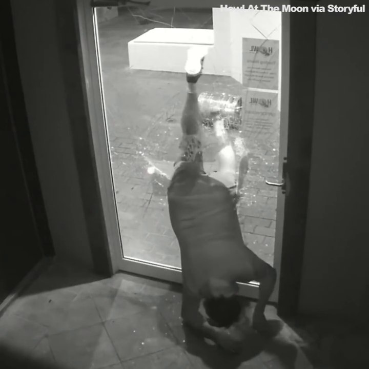 Le voleur le plus débile du monde... La porte était ouverte idiot