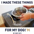 Incredible DIY ideas for your pets. via STEFFIDO, bit.ly/2jt0CBQ, bit.ly/2iiKvmE, bit.ly/2AJkjIG