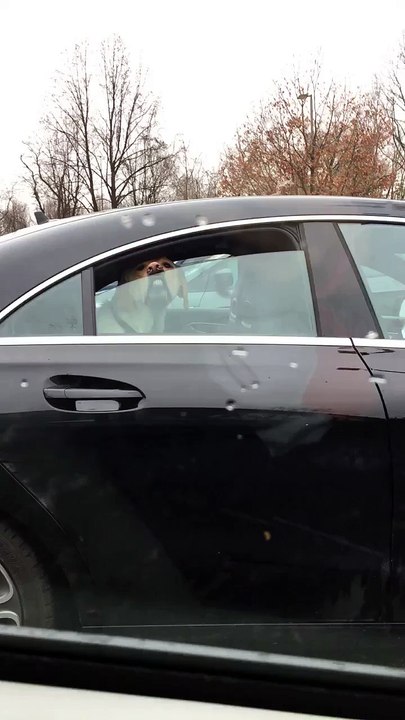 All Smiles in Traffic