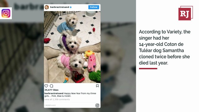 Barbra Streisand Cloned Her Dead Dog Twice