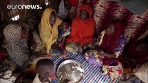 Lake Chad: The humanitarian crisis that doesn't make the headlines