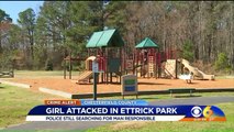 Police Search for Man Accused of Attacking 14-Year-Old Girl in Virginia Park