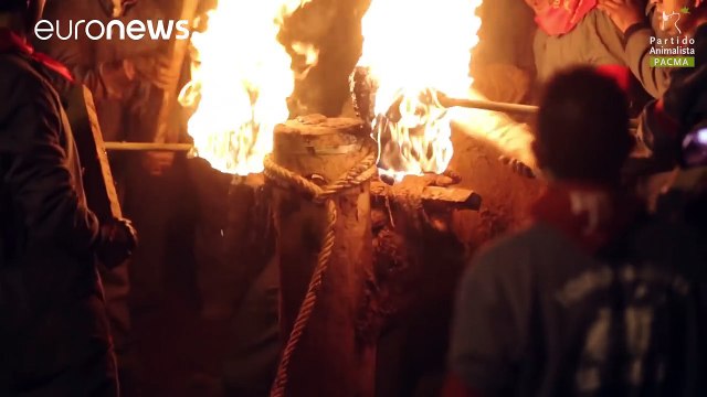 Bull set on fire at Spanish Toro Júbilo festival