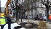 François Bayrou : "pour un arbre coupé, trois arbres plantés"