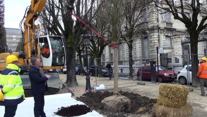 François Bayrou : "pour un arbre coupé, trois arbres plantés"
