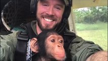 Rescued baby chimp takes a front seat for flight home