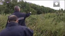 Italian police clear dope farm