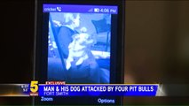 Four Dogs Euthanized After Brutally Attacking Man Walking His Dog