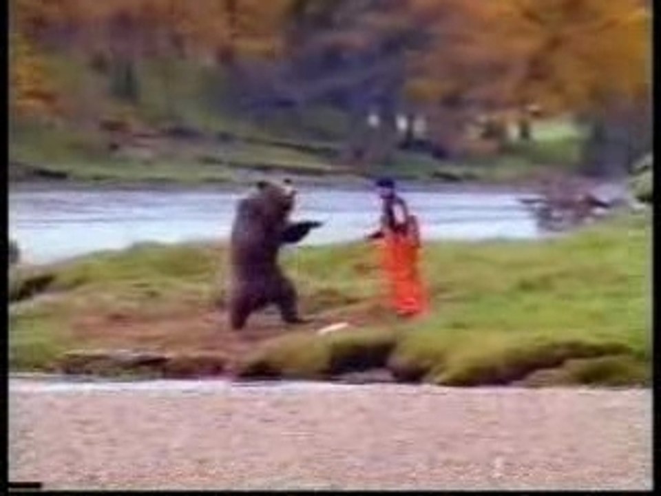 L'ours