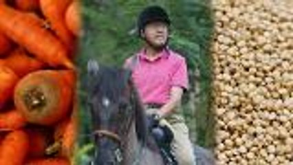 Tun M: Horses I ride eat carrots, not quinoa