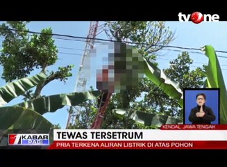 Cari Pakan Ternak, Pria Tewas Tersetrum Listrik