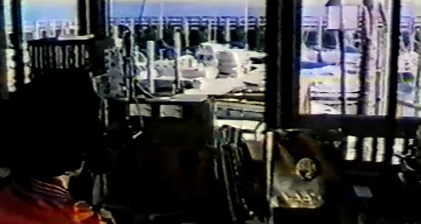 L'ultimo squalo (1981) - VHSRip - Rychlodabing