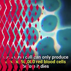 Researchers Have Created Artificial Blood From Stem Cells | Medical Science