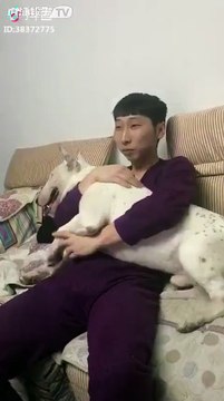 Ở với nhau lâu nên mặt con sen và boss hình như cũng ngày càng giống nhau