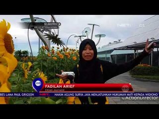 Bunga Matahari Di Bandara Changi - NET 12