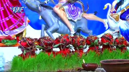 Dhaam Tera Sabse Pyra Maa ♦❗♦❗ Bolo maa ke Jaikare