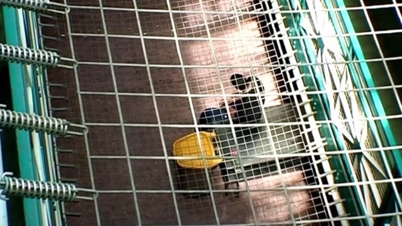 Screws Inside Belmarsh (Prison Documentary) Real Stories Dailymotion