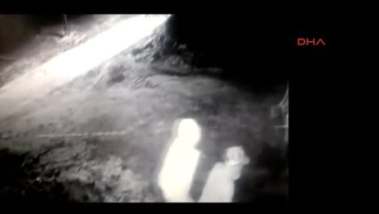 Güvenlik Kamerasına Yansıyan Hayvan Hırsızlarına Jandarmadan Operasyon