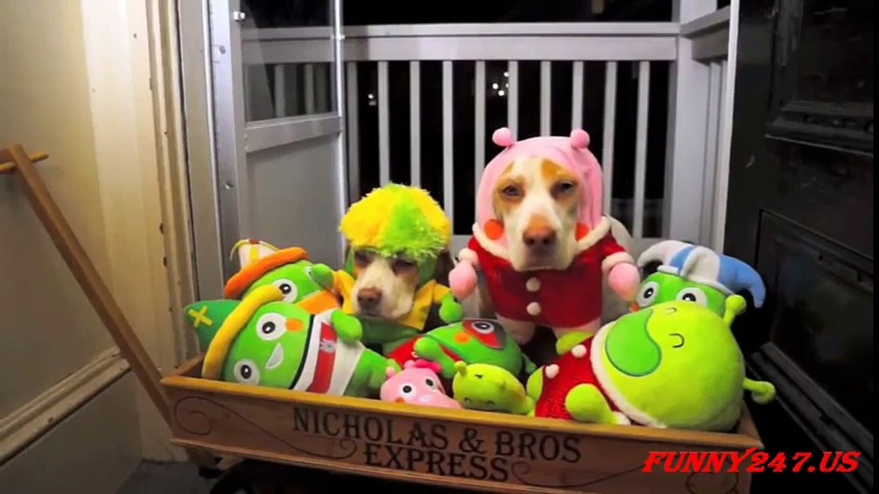 funny pranks-funny videos pranks-scary videos-top 10 pranks-Best Horror Scary