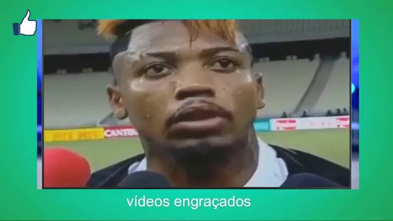 REPORTAGENS ENGRAÇADAS MICOS NA TV