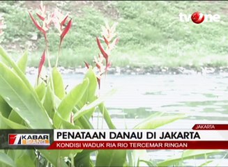 Kondisi Waduk Ria Rio Tercemar Ringan