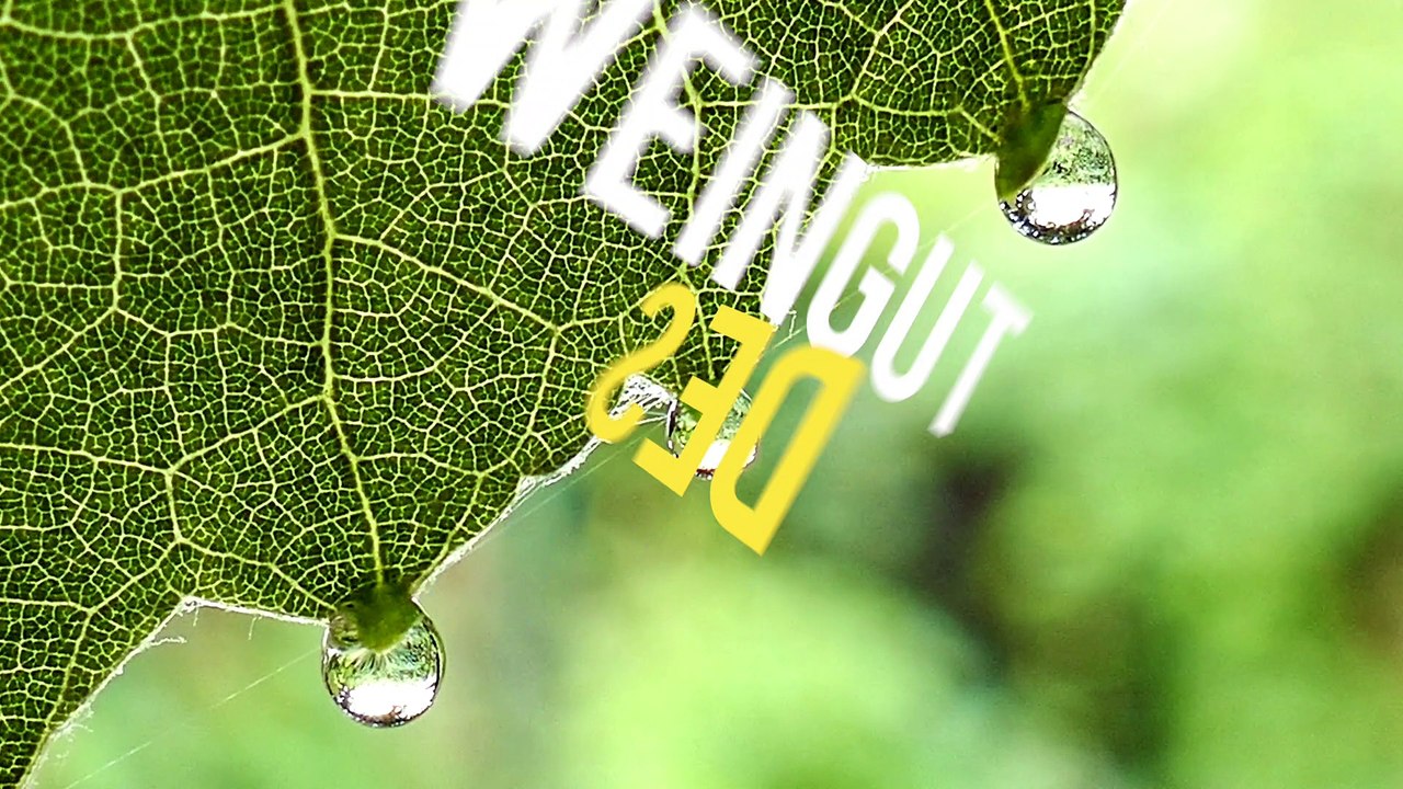 Die rieslingexperten aus Ürzig – weingut mönchhof