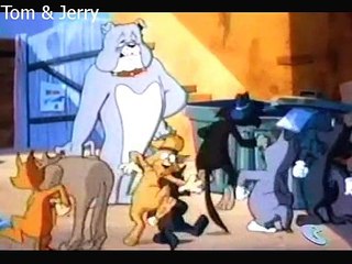 Tom & Jerry Kids 104b Puss n' Pups [dr_toons]