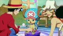 Luffy s Resistance to Poison English Dubbed