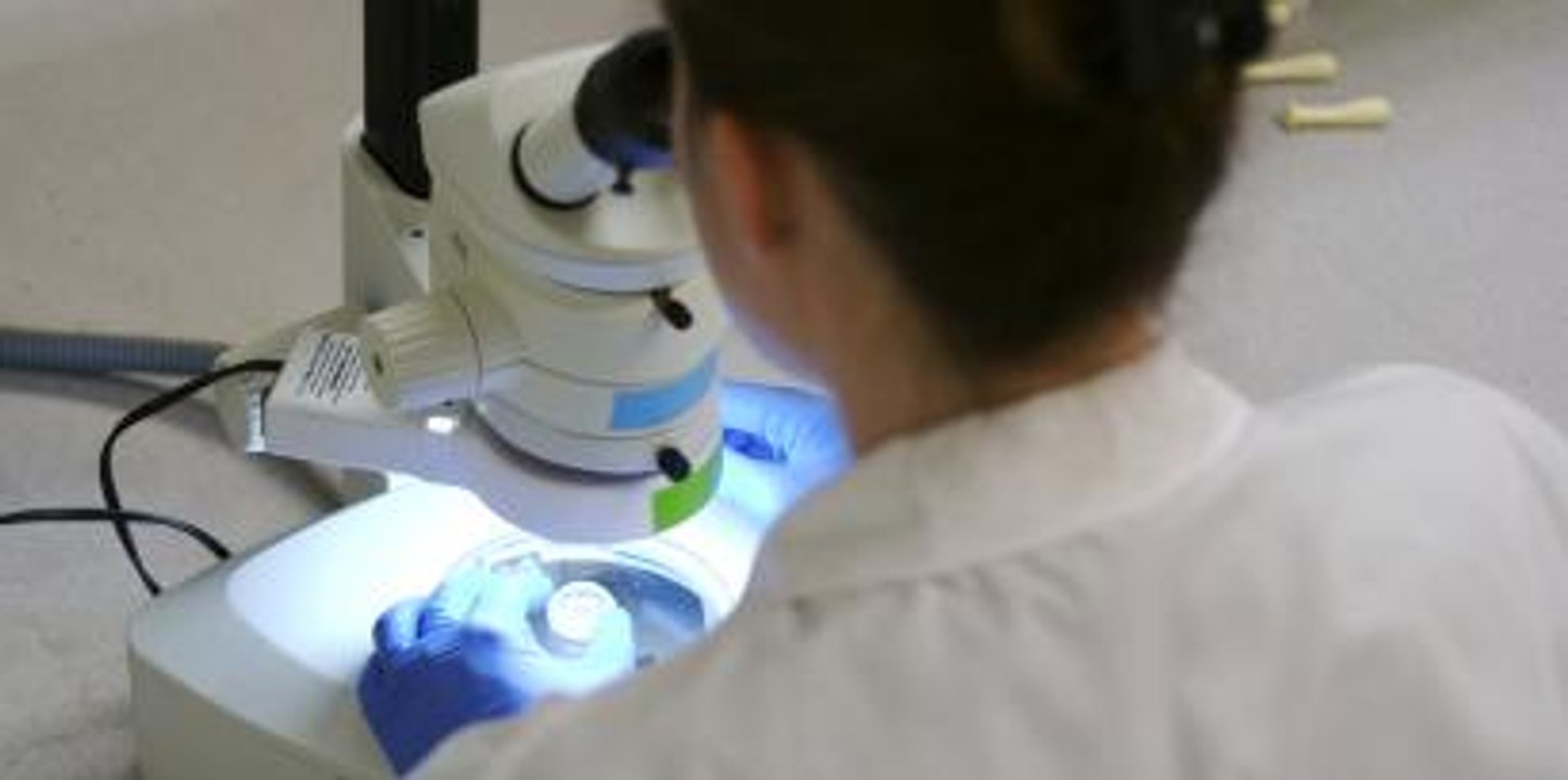 Le sport; pour maigrir?