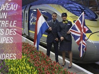 Londres-Amsterdam : un nouvel Eurostar
