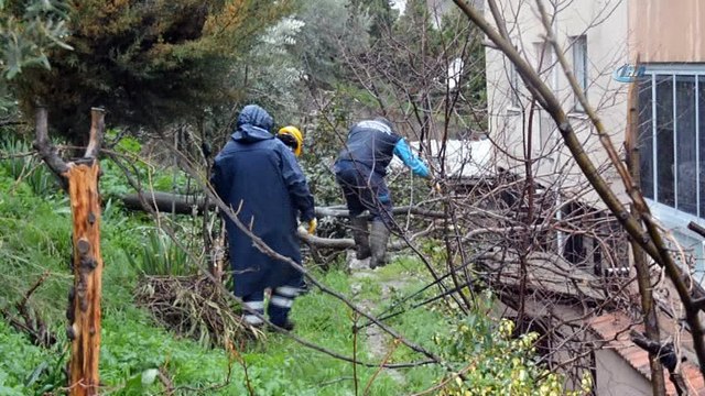 Önce fırtına ardından sağanak yağış...Ağaçlar devrildi, caddeler göle döndü