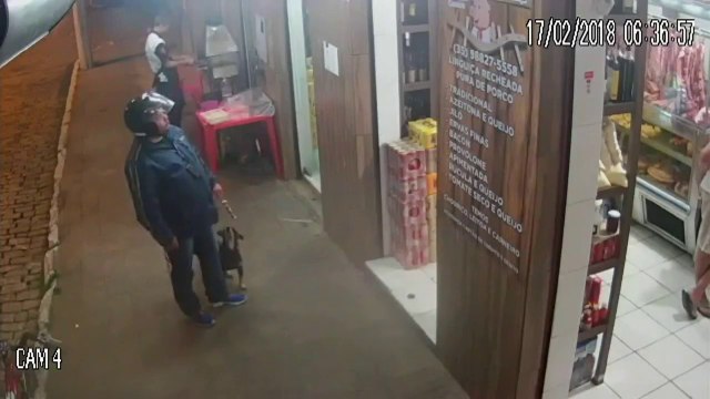 Vous allez assister à un vol de brochette... Chien furtif et très malin