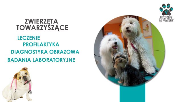 Okulistyka weterynaryjna chirurgia weterynaryjna fryzjer dla zwierząt Suszec Przychodnia weterynaryjna św. Franciszka lek. wet. Tomasz Smołka