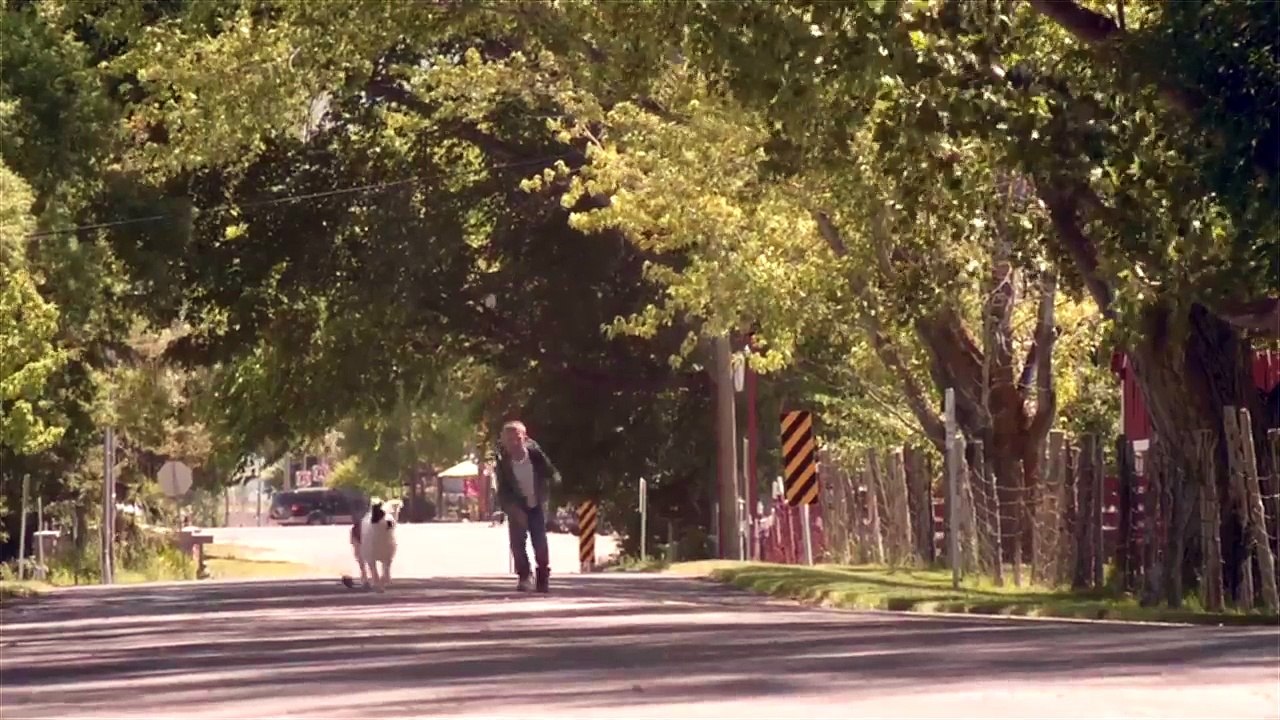 The Stray (2017) Fragman