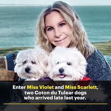 La chanteuse américaine Barbra Streisand a fait cloner son chien pour en créer... deux autres