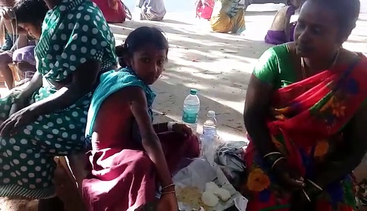 கிருஷ்ணகிரியில் வெறி நாய்கள் அட்டகாசம்.. ஒரே நாளில் 7 பேருக்கு கடி- வீடியோ