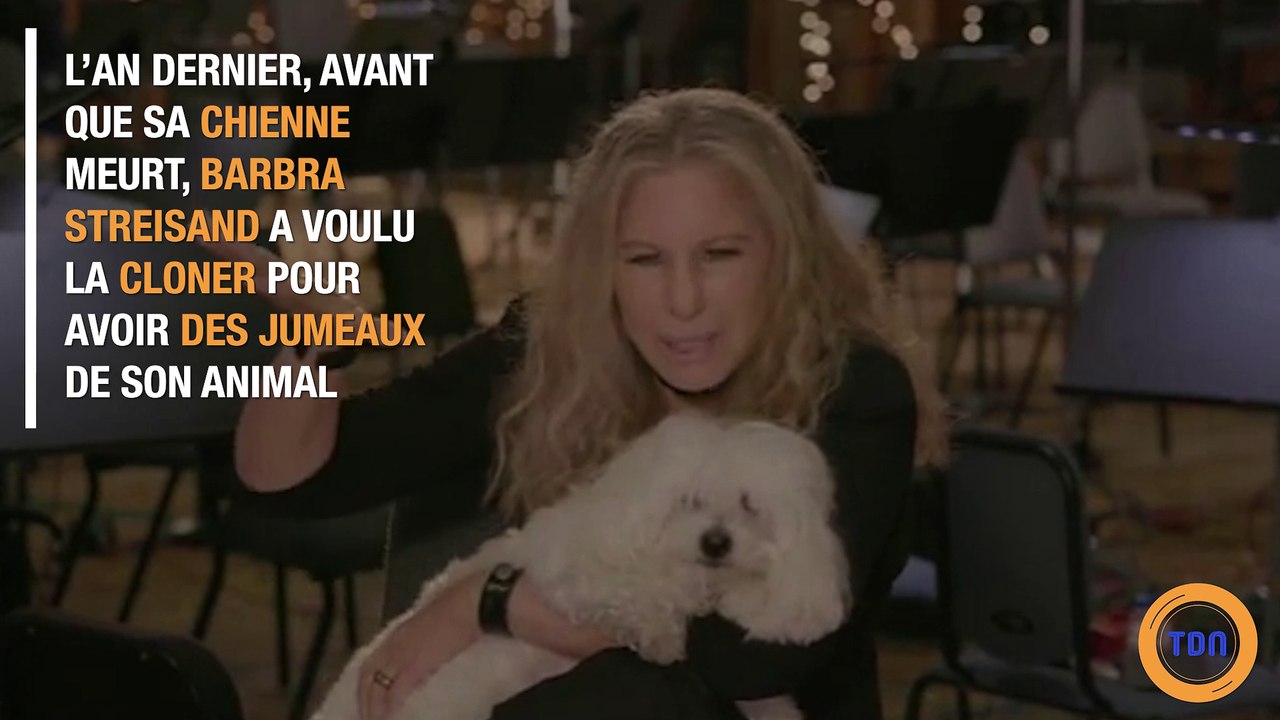 Barbara Streinsand a fait cloner son chien