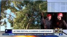 Arizona Tree Festival and Tree Climbing Championships