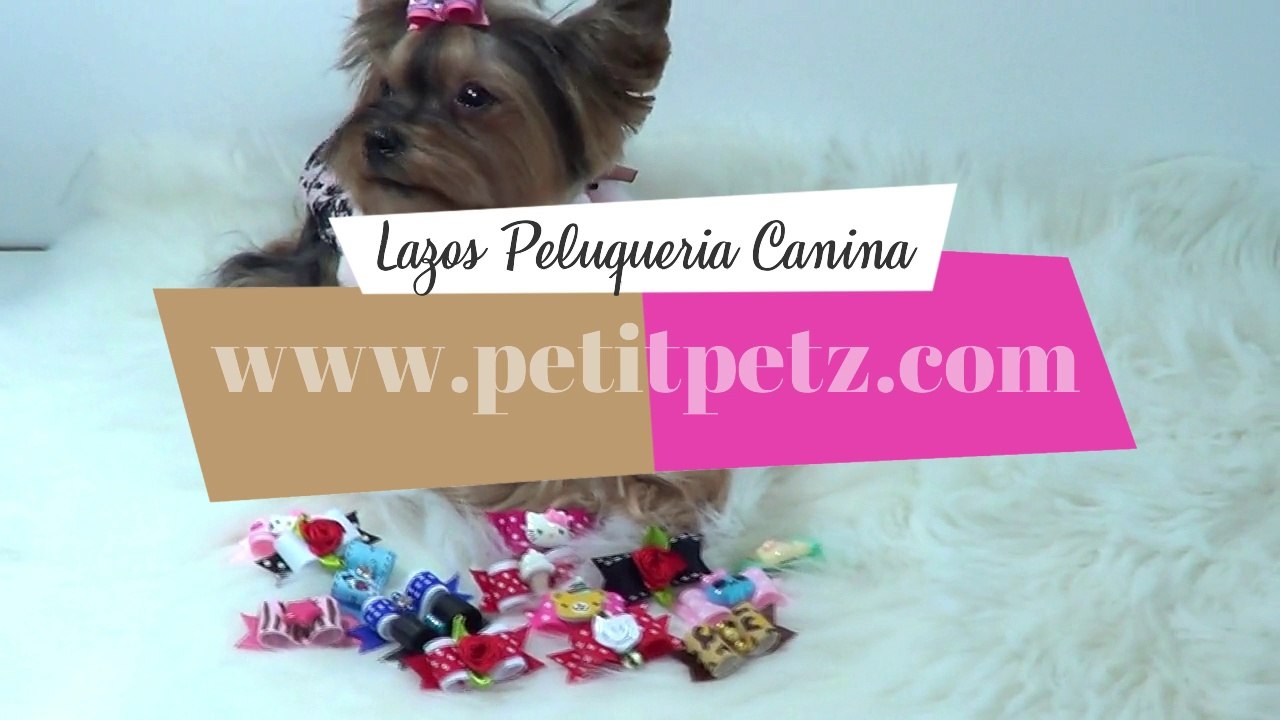 LAZOS PARA PERROS de raza YORKSHIRE TERRIER BICHON MALTES, PELUQUERIA CANINA - PetitPetz Boutique Online
