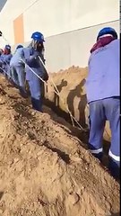 Acemikamera video sitesi - Bir kürek