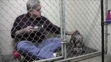 Veterinário ganha a confiança de Pit Bull maltratado ao se trancar com ele a comer