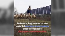 20% des énergies renouvelables nationales sont issues de l'agriculture